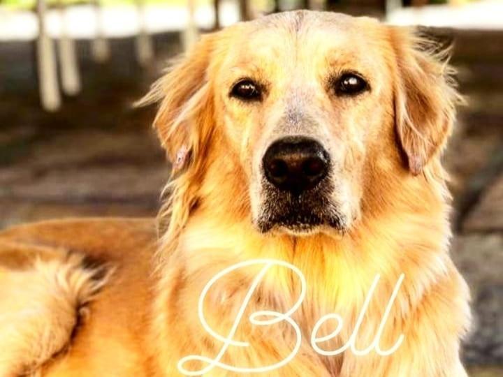 Pousada Da Bell Barreirinhas Buitenkant foto