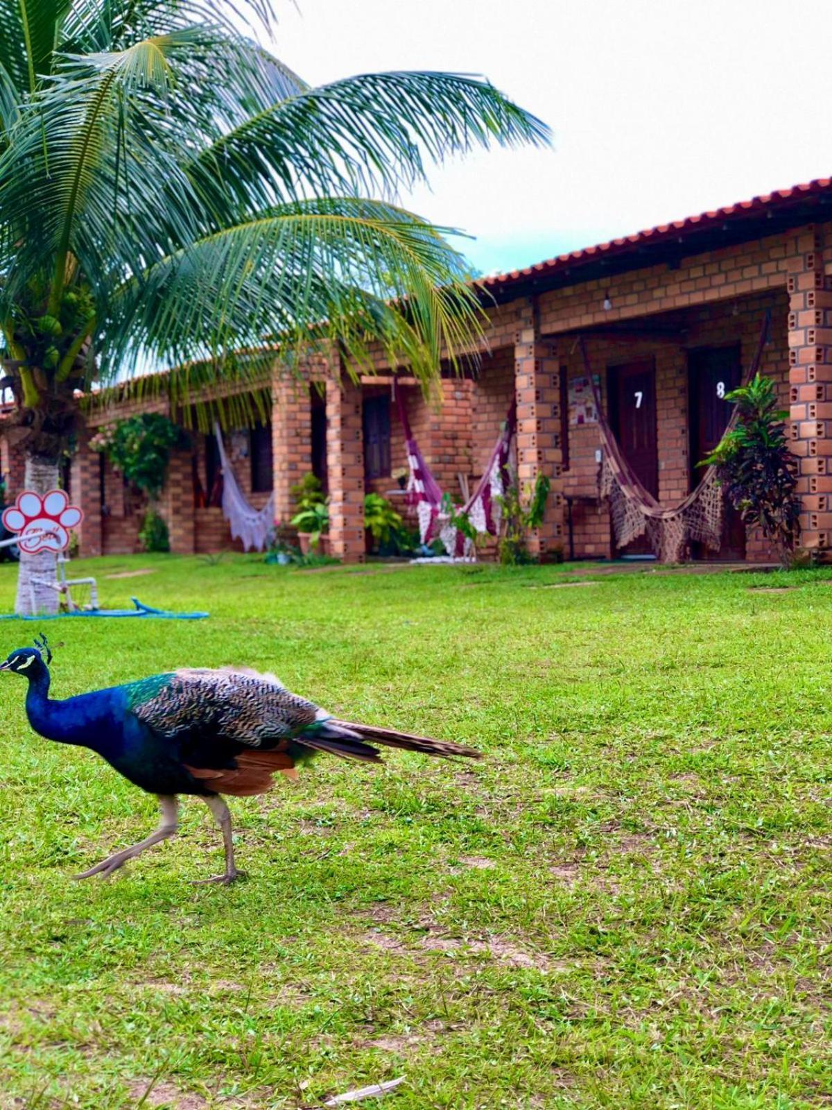 Pousada Da Bell Barreirinhas Buitenkant foto