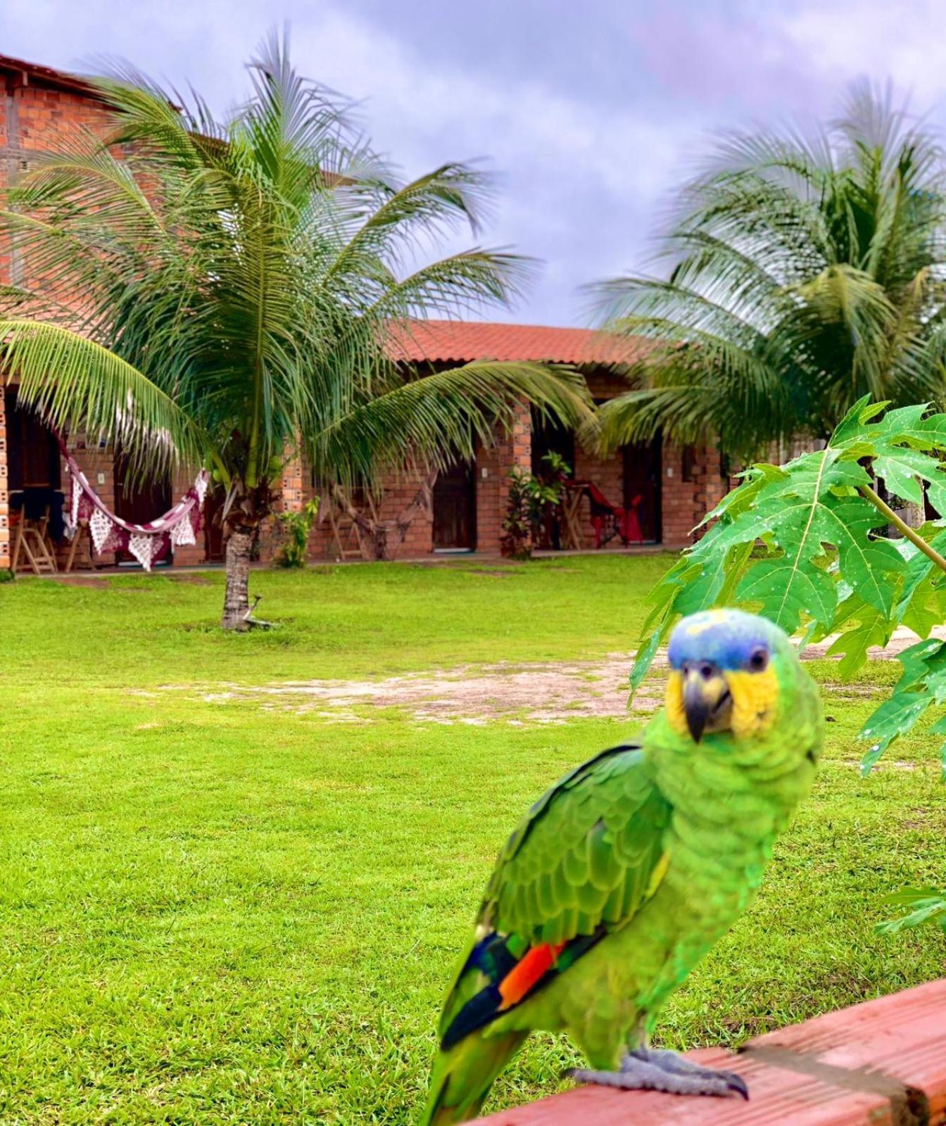 Pousada Da Bell Barreirinhas Buitenkant foto